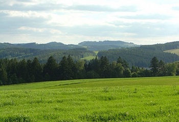 Chrastavec